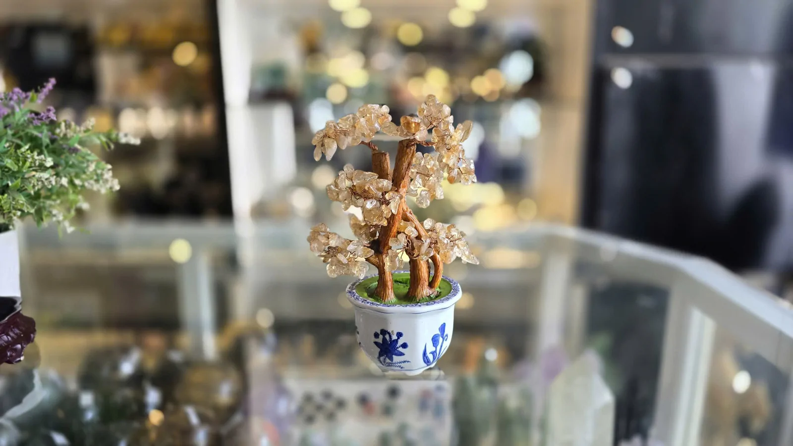 Cây thạch anh vàng bonsai,chậu tròn CA120